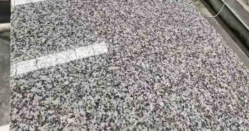 济宁 芙蓉白光面