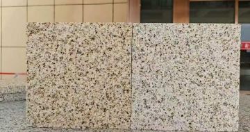 济宁 黄金麻荔枝面，中黄与浅黄