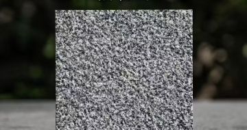 济宁 芝麻黑荔枝面