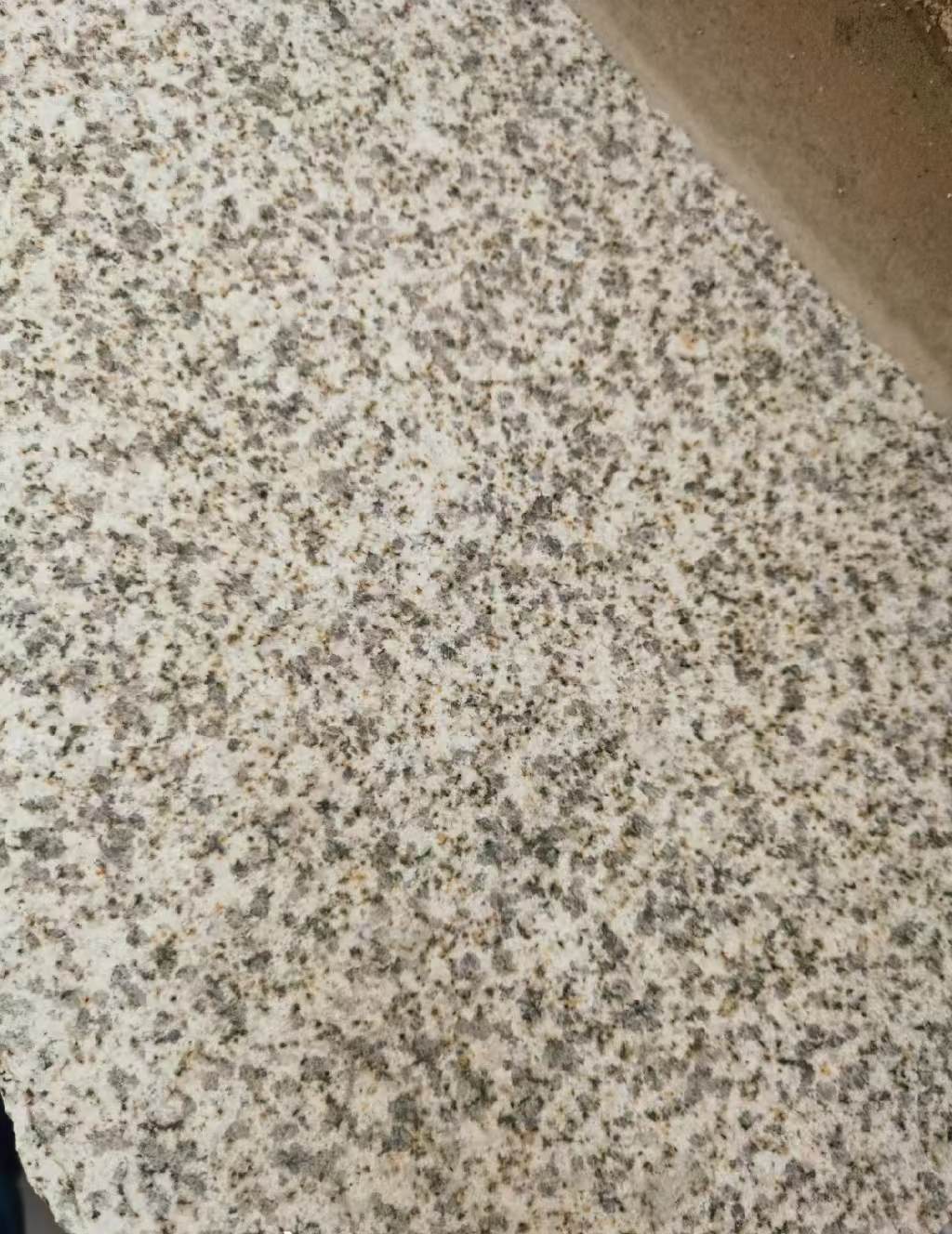 济宁 黄金麻中黄光面