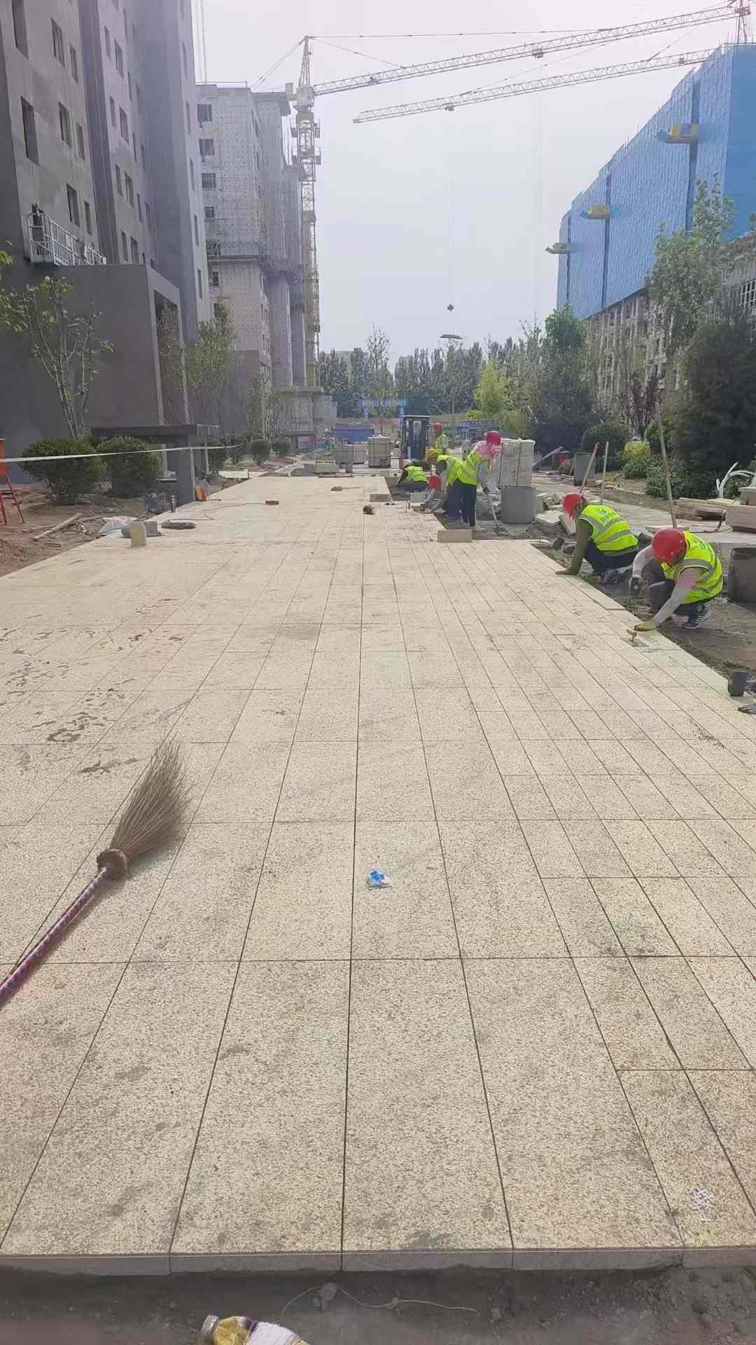 济宁黄金麻荔枝面地铺案例