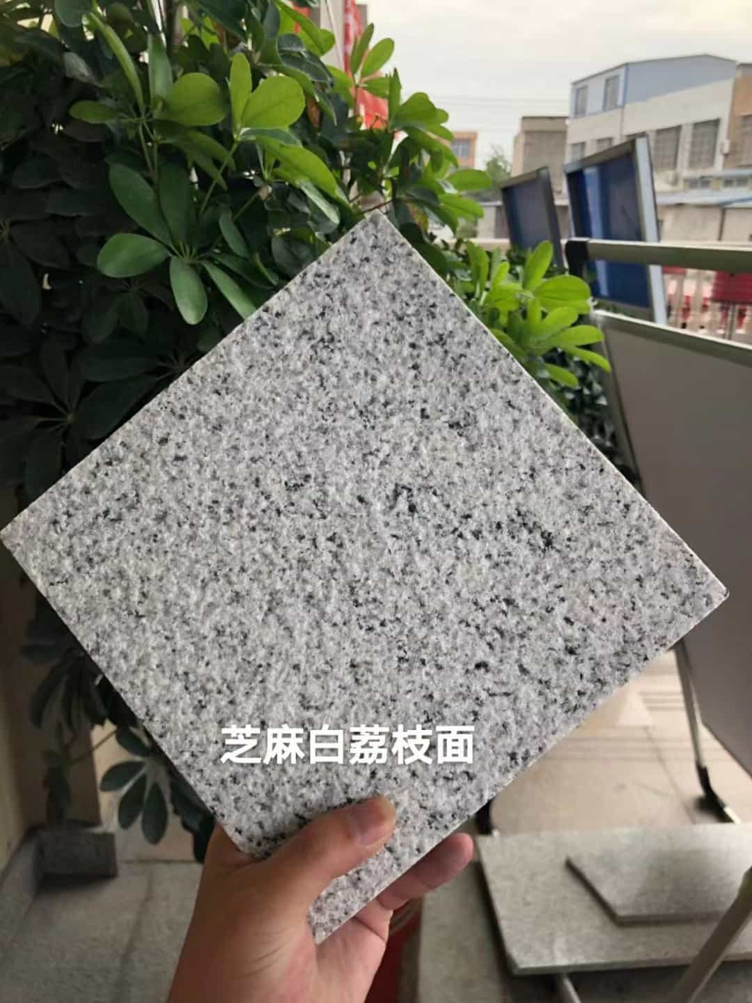 济宁 芝麻白荔枝面干挂