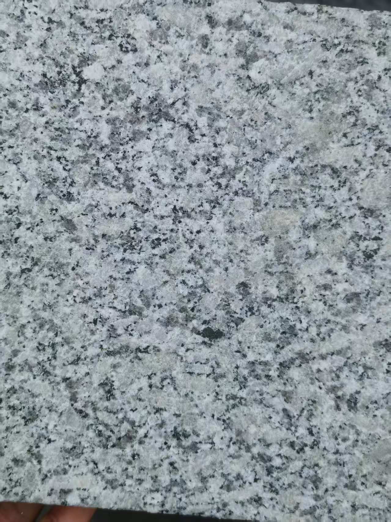 济宁 芙蓉白火烧面